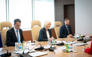 Foto: Vijeće ministara BiH / Ginkel na sastanku s Krišto