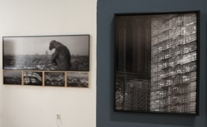 Foto: Hamza Duraković / Izložba "Trideset i šest pogleda na Notre Dame"