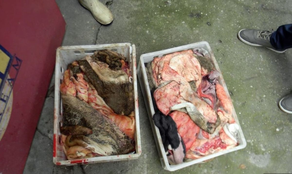 Ilegalno meso iz klaonice