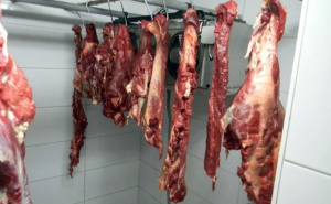 Foto: MUP Srbije / Pronađeno meso u klaonici