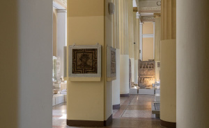 Foto: E. L. / Radiosarajevo.ba / Zemaljski muzej BiH