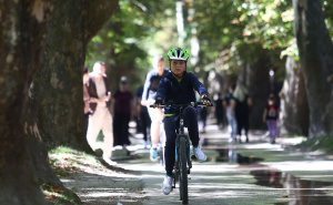 Foto: Dž. K. / Radiosarajevo.ba / Šetnja Velikom alejom