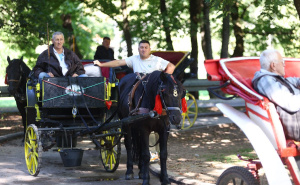 Foto: Dž. K. / Radiosarajevo.ba / Šetnja Velikom alejom