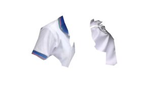 Foto: Europol / Prepoznajete li ove predmete?