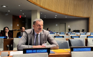 Foto: Ustupljene fotografije / Konaković u UN-u