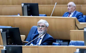 Foto: Dž. K. / Radiosarajevo.ba / Počela sjednica Predstavničkog doma PSBiH