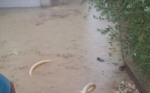 FOTO: Facebook / Poplave u Ljubuškom