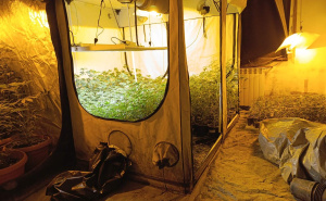 Foto: MUP KS / Oduzeta droga