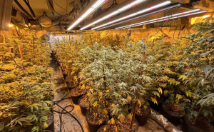 Foto: MUP KS / Oduzeta droga