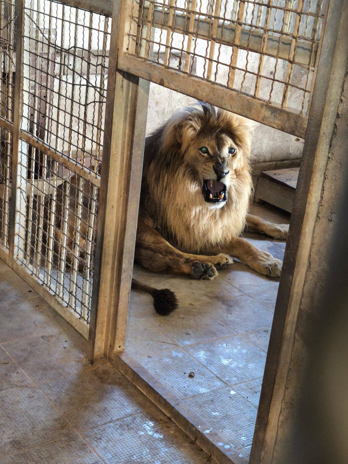 Posjeta Pionirskoj dolini