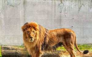 Foto: KJKP Park / Posjeta Pionirskoj dolini