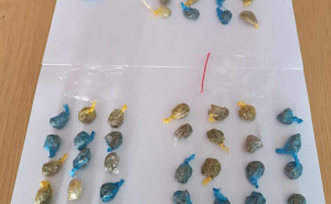 Foto: PU Doboj / Oduzeto prilikom akcije "Soliter"