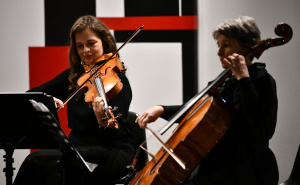 Foto: A. K. / Radiosarajevo.ba / Koncert SA Sinfonietta