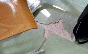 FOTO: Facebook / Škola u Sarajevu (@selmaprses)