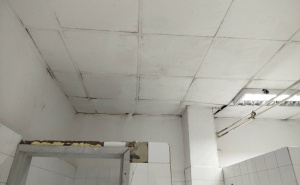 FOTO: Facebook / Škola u Sarajevu (@selmaprses)