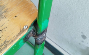 FOTO: Facebook / Škola u Sarajevu (@selmaprses)