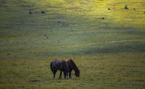 Foto: Anadolija / Bosansko selo Lukomir krije tajnu vremena