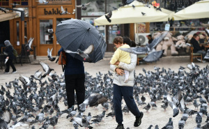 Foto: A. K. / Radiosarajevo.ba / Kišna nedjelja u Sarajevu