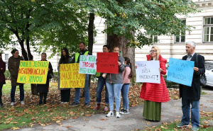 Foto: E. L. / Radiosarajevo.ba / Protest Udruženja "Colibri"