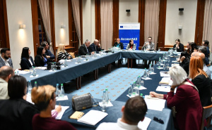 Foto: A. K. / Radiosarajevo.ba / Okrugli stol pod nazivom "Sloboda pristupa informacijama Prepreke, rješenja i očekivanja"