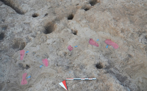 FOTO: AA / Otisci ljudskih stopala stari 7.000 godina