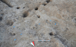 FOTO: AA / Otisci ljudskih stopala stari 7.000 godina