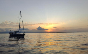 FOTO: AA / Bosansko-njemački humanitarac u pomorskoj misiji za Gazu