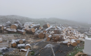 Foto: Bhmeteo.ba / Prvi snijeg na Vlašiću (@Tufik Fuško)
