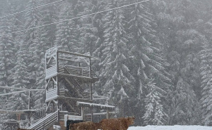 Foto: Bhmeteo.ba / Snijeg na Jahorini