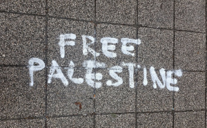 Foto: Facebook / Sarajka očistila grafite ispred sinagoge