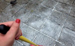 Foto: Facebook / Sarajka očistila grafite ispred sinagoge