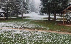 Foto: Facebook / Snijeg na Trebeviću