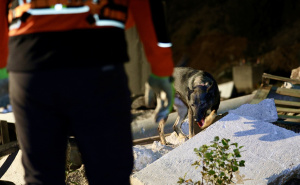 Foto: Rescue Paws / Obuka potražnih timova