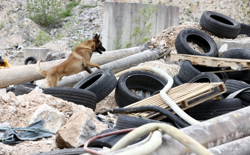 Obuka potražnih timova