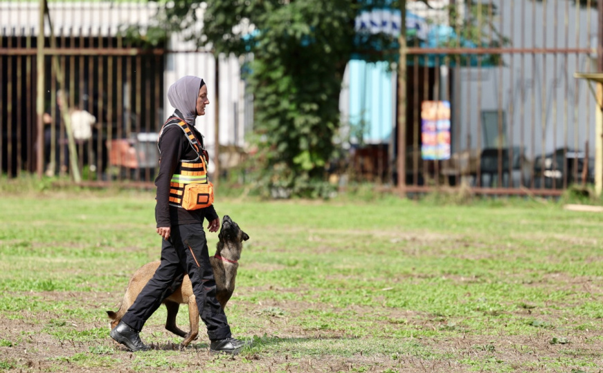 Obuka potražnih timova