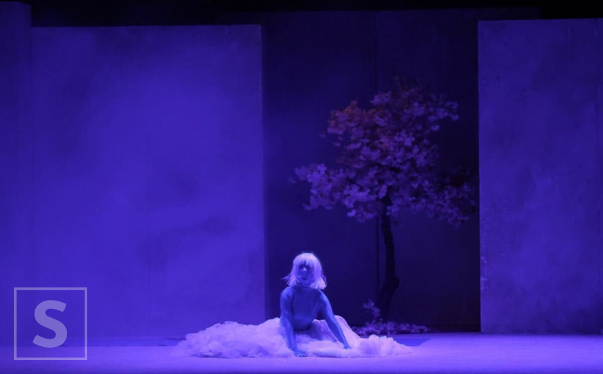 Predstavom Thauma otvoren festival MESS