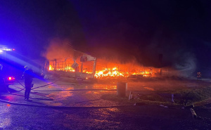 Foto: Facebook / Požar na pijaci "Arizona"