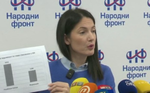 FOTO: Screenshot / Jelena Trivić