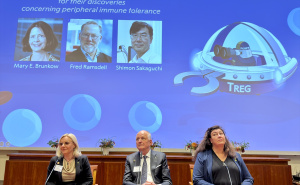 Anadolija / Konferencija za medije održana u Karolinska institutu u Švedskoj