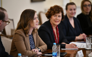 Foto: A. K. / Radiosarajevo.ba / Claudia Plakolm u Predsjednišvu BiH