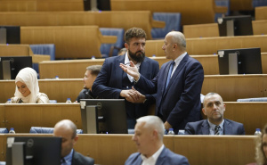 Foto: A. K. / Radiosarajevo.ba / Predstavljena online platforma "Diaspora connecting"  u PSBiH