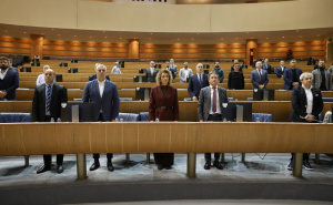 Foto: A. K. / Radiosarajevo.ba / Predstavljena online platforma "Diaspora connecting"  u PSBiH