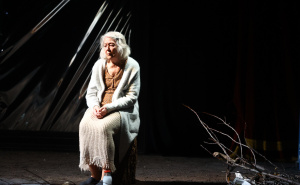 Foto: Dž.K. / Radiosarajevo.ba / Predstava 'Ogledalo' na festivalu MESS