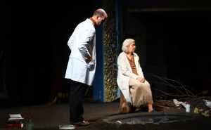 Foto: Dž.K. / Radiosarajevo.ba / Predstava 'Ogledalo' na festivalu MESS