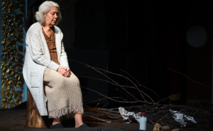 Foto: Dž.K. / Radiosarajevo.ba / Predstava 'Ogledalo' na festivalu MESS