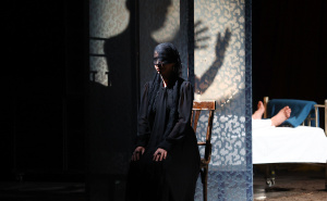 Foto: Dž.K. / Radiosarajevo.ba / Predstava 'Ogledalo' na festivalu MESS