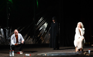 Foto: Dž.K. / Radiosarajevo.ba / Predstava 'Ogledalo' na festivalu MESS