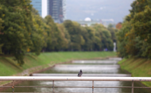 Foto: Dž.K. / Radiosarajevo.ba / Šetnja na Vilsonovom šetalištu