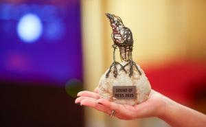 Foto: Dž. K. / Radiosarajevo.ba / Sound of MESS