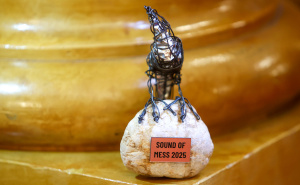 Foto: Dž. K. / Radiosarajevo.ba / Sound of MESS